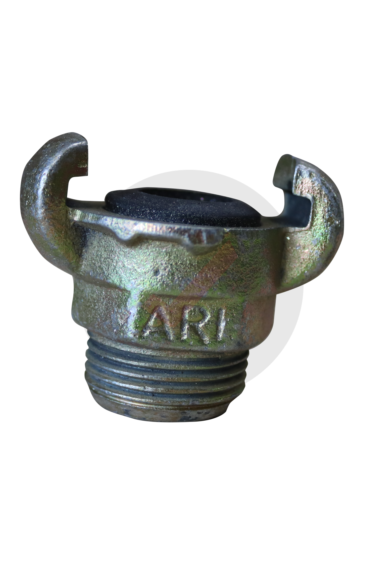 Kurtağzı - Erkek Rekor  - 1''