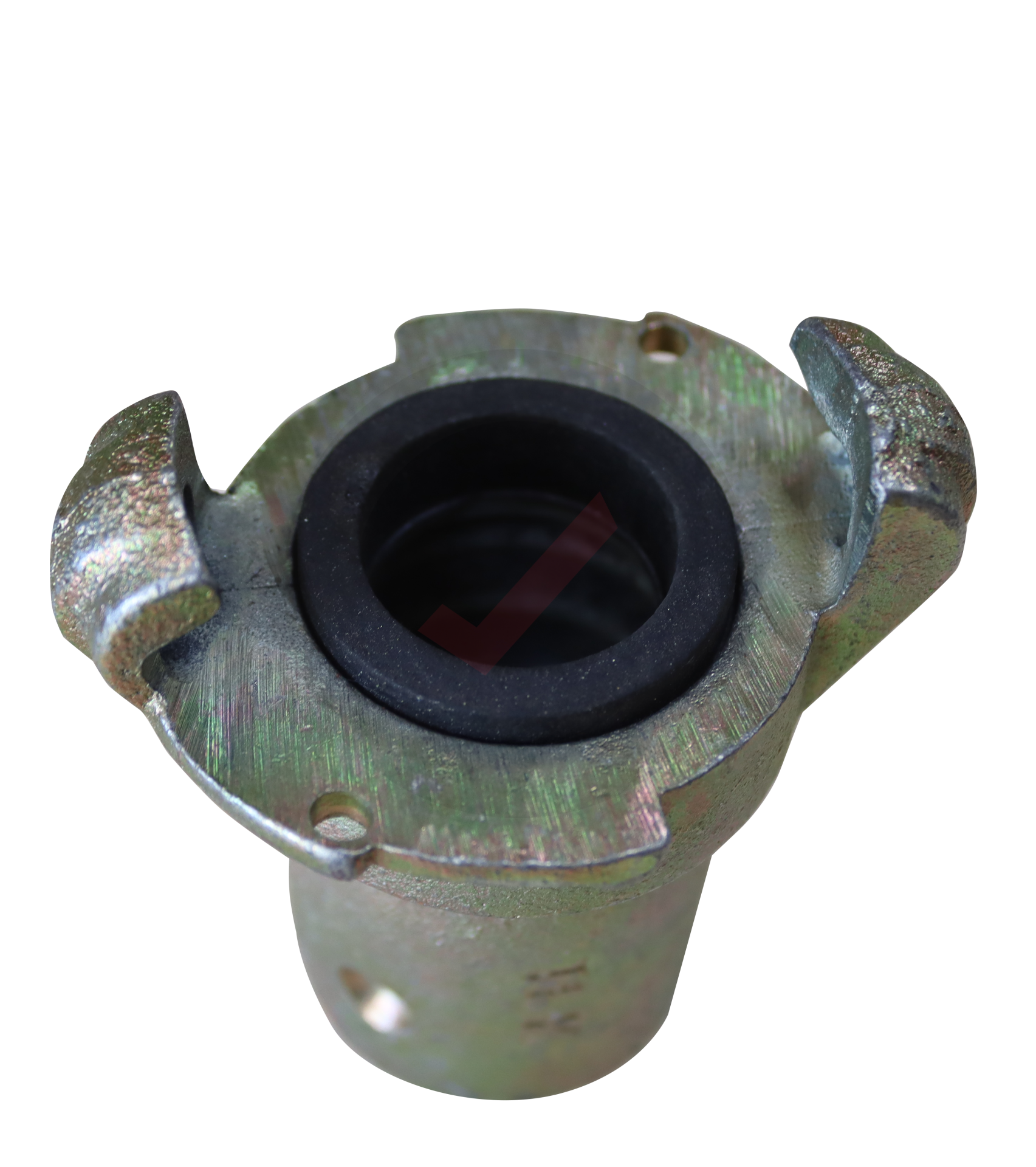 Kurtağzı - Uzun Kumlama Rekoru - 1''