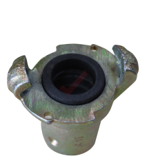 Kurtağzı - Uzun Kumlama Rekoru - 1''