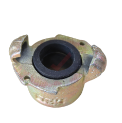 Kurtağzı - Dişi Kumlama Rekoru - 1 1/4''